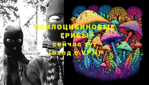 гидра Алзамай
