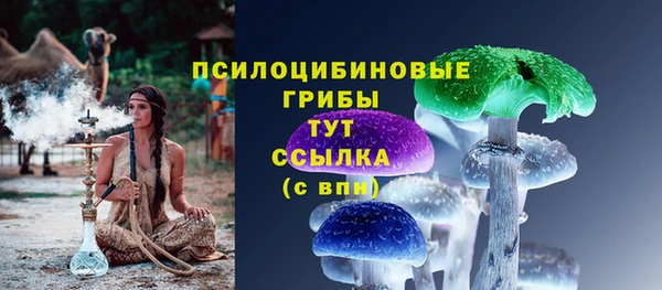 гидра Алзамай