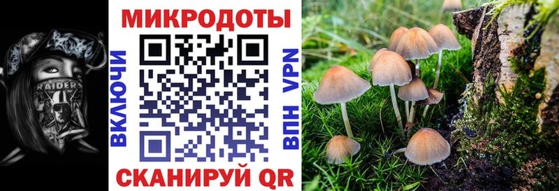 наркота  Сенгилей  Псилоцибиновые грибы MAGIC MUSHROOMS 